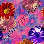 Colour:A
