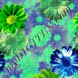 Colour:D