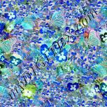 Colour:F