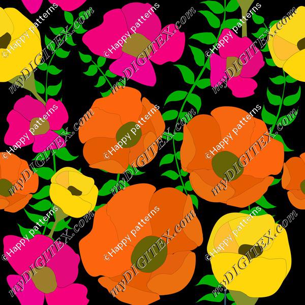 Colorful poppy summer flowers on black