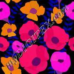 Colour:B