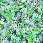 Colour:C