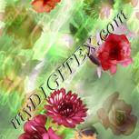 Colour:A