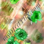 Colour:D