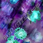 Colour:F