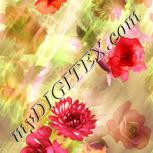 Colour:J