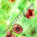 Colour:K