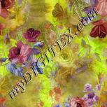 Colour:A