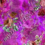 Colour:B