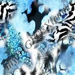 Colour:F