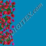 Colour:A