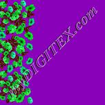 Colour:D