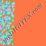 Colour:F