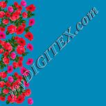 Colour:J