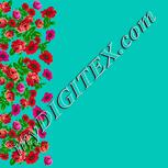 Colour:K
