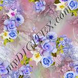 Colour:A