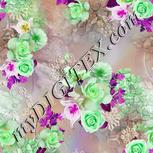 Colour:B