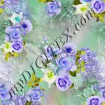 Colour:D