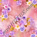 Colour:J