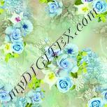 Colour:K