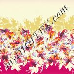 Colour:A