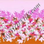 Colour:B