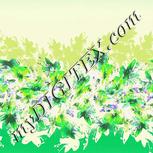 Colour:D