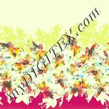Colour:K