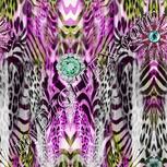 Colour:B