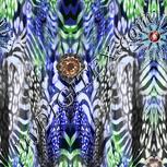 Colour:F