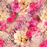 Colour:J