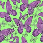 Colour:D