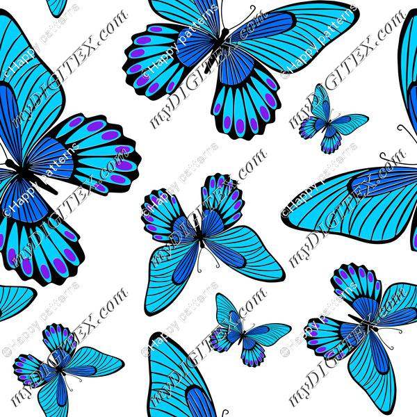 Blue Morpho Butterflies on White