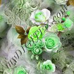 Colour:D