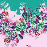 Colour:B
