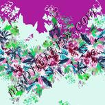 Colour:C