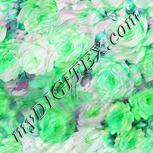 Colour:C