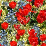 Colour:A