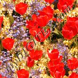 Colour:J