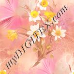 Colour:J