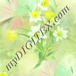 Colour:K