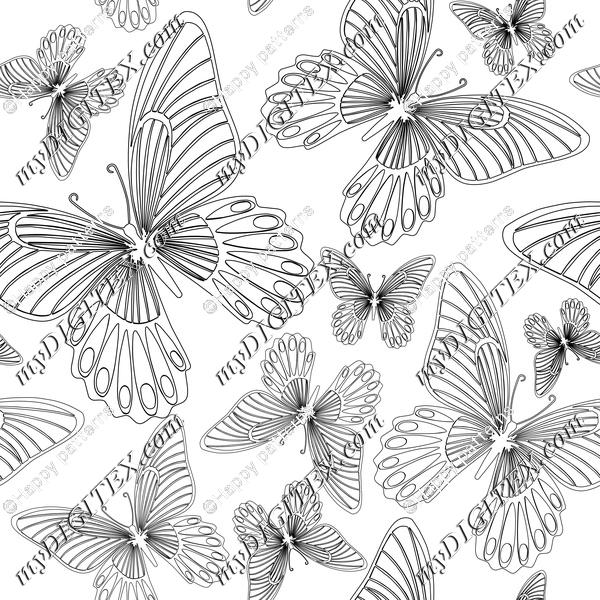 Butterflies Black and White