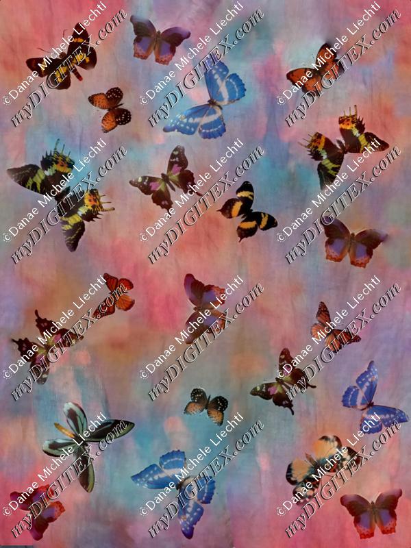 butterfly sunset png-2-1800