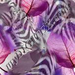 Colour:A