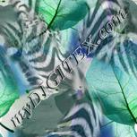 Colour:D