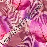 Colour:J