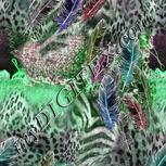 Colour:C