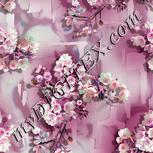 Colour:B
