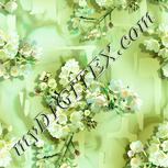 Colour:K
