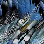 Colour:F